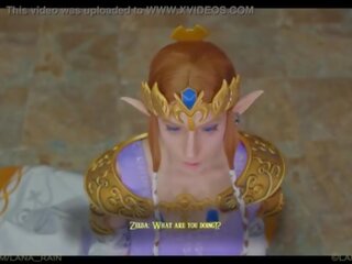 נסיכה zelda עונה שלה חדש מלך