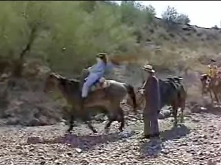 Tera Heart-DP-Western Nights (1994)-Scene 6